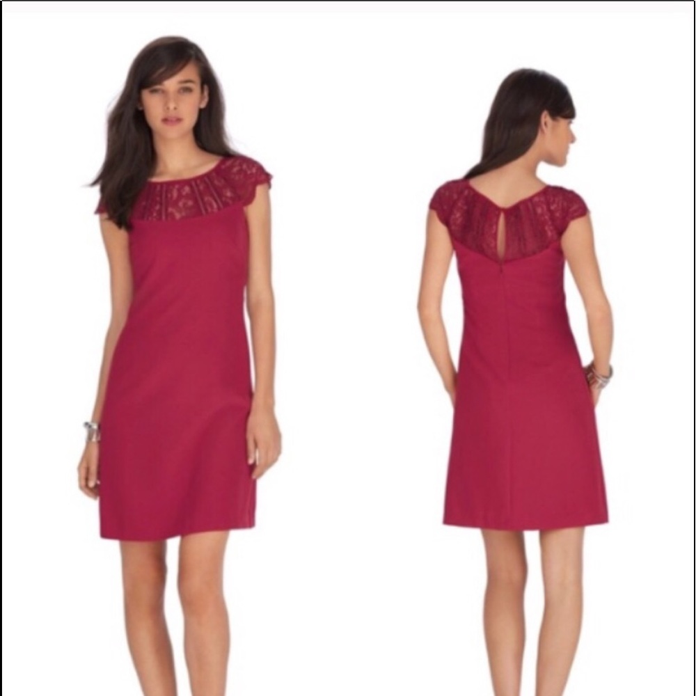 WHBM Burgundy Lace sheath dress Size 4 NWT